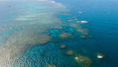 AUSTRALIA-QUEENSLAND-GREAT BARRIER REEF (210608) -- SYDNEY, June 8, 2021 (Xinhua) -- Aerial photo taken on June 2, 2021 shows the Great Barrier Reef in Queensland, Australia. The Great Barrier Reef, the world's largest coral reef in Australia's state of Queensland, is described as the "planet's most beautiful marine environment" and is the main conservation target of the Citizens of the Great Barrier Reef, a charity cooperative organization that runs a series of preserving programs."n  To celebrate World Oceans Day (WOD) on Tuesday, Xinhua spoke with Andy Ridley, the energetic chief executive of Citizens of the Great Barrier Reef, about the organization's diverse range of conservation work."nTO GO WITH "Feature: Aussie conservation group guards dwindling Great Barrier Reef with 'citizen scientists'" (Photo by Hu Jingchen/Xinhua) Hu Jingchen Photo: XINHUA/PIXSELL