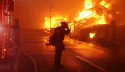 epa11812621 A firefighter reacts as the Palisades wildfire burns multiple structures along the Pacific Coast Highway in Malibu, California, USA, 07 January 2025. California Governor Gavin Newsom declared a state of emergency as about 30,000 people were ordered to evacuate due to a large wildfire called the 'Palisades Fire' in the Palisades that has already burned about 3,000 acres, according to the California Department of Forestry and Fire Protection, CAL FIRE. EPA/ALLISON DINNER