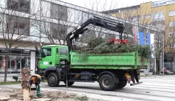 Osijek, 09. 01. 2025., Trg slobode, uklanjanje božićna jelka, boživno drvce, bor, UNIKOM, slobodnjaci, slobodnjakSNIMIO BRUNO JOBST