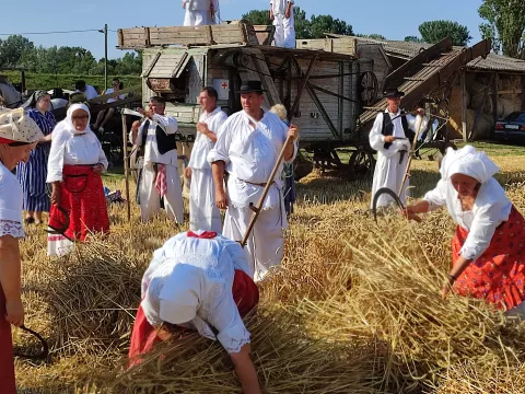 Prikaz žetve u prošlosti u Županjiarhiva