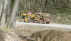 ?20.03.2014., Koprivnica - Gradjani kupuju od Hrvatskih suma linije sa kojih odvoze drva koja sumarima nisu upotrebljiva ili ruse drva u svojim sumama. Photo: Marijan Susenj/PIXSELL------crna2 st