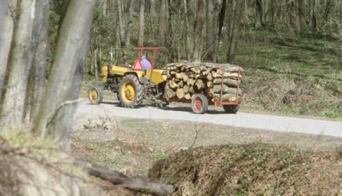 ?20.03.2014., Koprivnica - Gradjani kupuju od Hrvatskih suma linije sa kojih odvoze drva koja sumarima nisu upotrebljiva ili ruse drva u svojim sumama. Photo: Marijan Susenj/PIXSELL------crna2 st