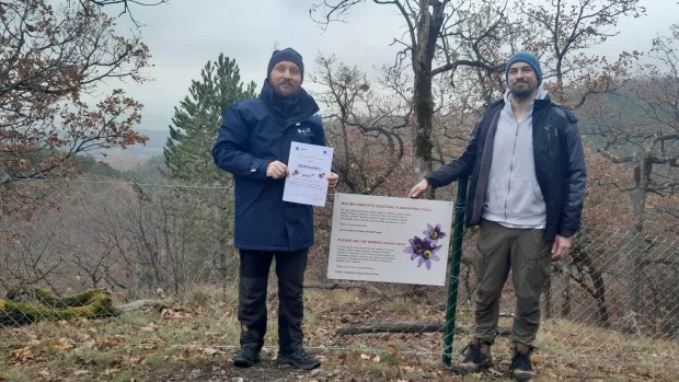 Očuvanje rijetke biljke na Papuku