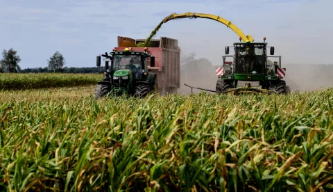 epa08615195 A harvester is accompanied by a tractor with a silo trailer as rthey are driving side-by-side during the harvesting of a corn field near Leipzig, Germany, 20 August 2020. EPA/FILIP SINGER