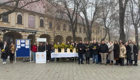 U Vinkovcima obilježen Dan mimoza u središnjem gradskom parku. Organizirali su ga: Hrvatski zavod za javno zdravstvo Vukovarsko-srijemske županije, Liga protiv raka Vinkovci, Gradsko društvo Crvenog križa Vinkovci i učenici vinkovačke Zdravstveno veterinarske škole Dr. Andrije Štampara.