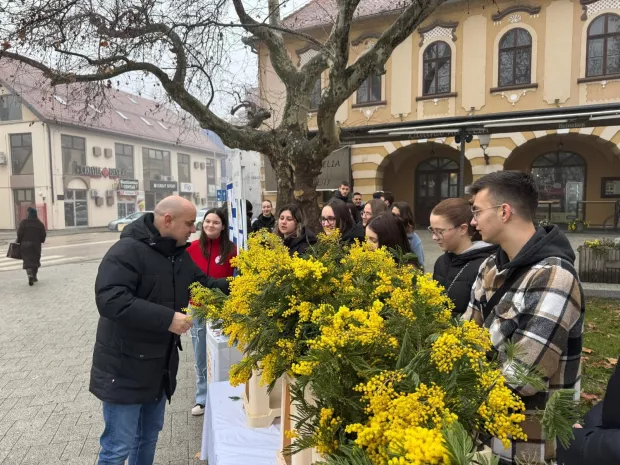 U Vinkovcima obilježen Dan mimoza u sredi&scaron;njem gradskom parku. Organizirali su ga: Hrvatski zavod za javno zdravstvo Vukovarsko-srijemske županije, Liga protiv raka Vinkovci, Gradsko dru&scaron;tvo Crvenog križa Vinkovci i učenici vinkovačke Zdravstveno veterinarske &scaron;kole Dr. Andrije &Scaron;tampara.