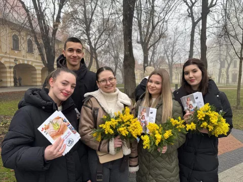 U Vinkovcima obilježen Dan mimoza u središnjem gradskom parku. Organizirali su ga: Hrvatski zavod za javno zdravstvo Vukovarsko-srijemske županije, Liga protiv raka Vinkovci, Gradsko društvo Crvenog križa Vinkovci i učenici vinkovačke Zdravstveno veterinarske škole Dr. Andrije Štampara.