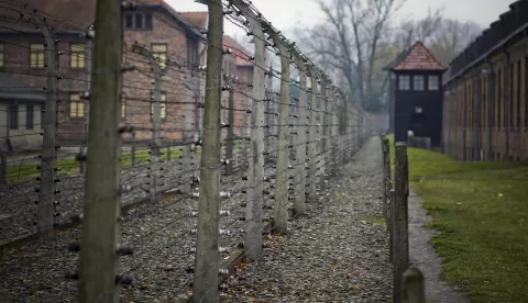 (150127) -- BRUSSELS, Jan. 27, 2015 (Xinhua) -- Photo taken on Nov. 9, 2012 shows the barbed wire fence at the former Auschwitz concentration camp in Oswiecim, Poland. The celebrations of the 70th anniversary of Auschwitz concentration camp liberation began in the Polish southern town of Oswiecim on Tuesday morning. The concentration camp was founded in 1940 by the Germans mostly for the aim of imprisoning Polish captives. Since 1942 it became Europe's one of the biggest places of Jewish extermination, with more than 1.1 million people killed, also including Poles, Romanians, Soviet captives and others. The camp was liberated on January 27, 1945 by the Red Army soldiers of the former Soviet Union, the date which eventually became the Holocaust Victims Memory Day.(Xinhua/Zhou Lei)