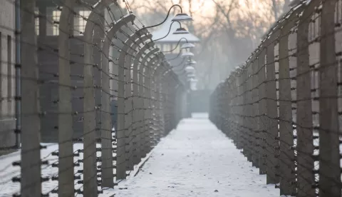 epa07323758 A view on the former Nazi-German concentration and death camp KL Auschwitz-Birkenau before ceremonies marking the 74th anniversary of the liberation of Auschwitz-Birkenau, in Oswiecim, Poland, 27 January 2019. The biggest German Nazi death camp KL Auschwitz-Birkenau was liberated by the Soviet Red Army on 27 January 1945. The world commemorates its liberation by International Holocaust Remembrance Day annually on 27 January. EPA/LUKASZ GAGULSKI POLAND OUT