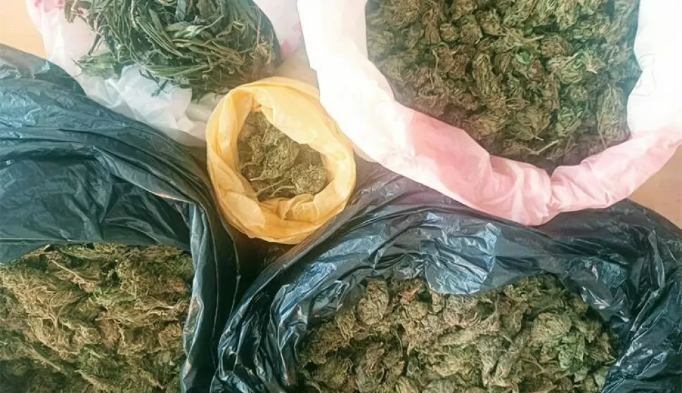 Zaplijenjena marihuana u Virovitici
