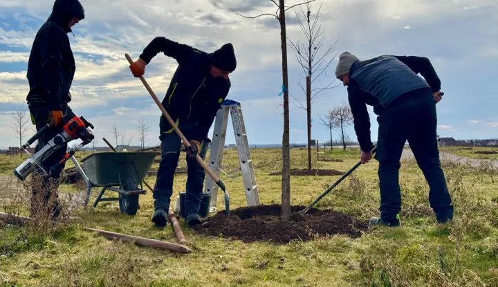 VINKOVCIPosljednjih nekoliko lijepih dana omogućilo je nastavak provedbe projekata sadnje drveća na nekoliko lokacija po cijelom gradu, zahvaljujući kojima će u dvije godine biti posađeno više od dvije tisuće sadnica.siječanj 2025.