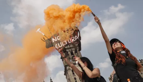 epa11871244 People protest against bullfighting, in Mexico City, Mexico 02 February 2025. EPA/ISAAC ESQUIVEL