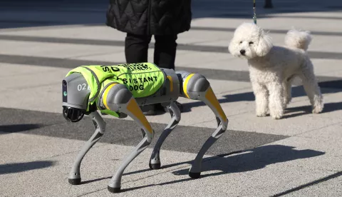 Osijek, 05. 02. 2025., Trg slobode, dog assistent, robot pas, pomoć slijepima, nepristupačan teren, loši vremenski uvijeti, razne mogućnostiSNIMIO BRUNO JOBST