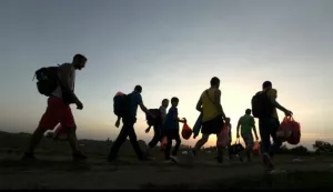 18.09.2015., Tovarnik - Iako je granica sa Srbijom sluzbeno zatvorena, izbjeglice idalje ilegalno ulaze u RH. Granicni prijelaz Tovarnik zatvoren je za promet, ali svega 500 metara od prijelaza izbjeglice kroz polje masovno ulaze u RH i nitko ih ne zaustavlja. Po ulasku u RH prva patrola granicne policije samo ih usmjerava prema zeljeznickom kolodvoru u Tovarniku gdje je izbjeglicki kamp. Photo: Zeljko Lukunic/PIXSELL------2 stupcanovosti