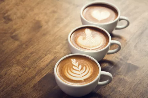 kava kava