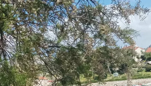 Hvar, 25.04.2025. - U Križnoj luci na Hvaru, gdje je u petak ujutro iz tanka Ine iscurilo gorivo u more, nije došlo do onečišćenja na otvorenom moru, priopćilo je Ministarstvo mora, prometa i infrastrukture. foto HINA/ Ministarstvo mora, prometa i infrastrukture/ tm