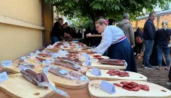 ANDRIJAŠEVCIProglašenjem pobjednika 2. GastRo A – izbora najbolje kulenove seke i kobasice, u Andrijaševcima je završena kulinarska manifestacija koju organizira Općina Andrijaševci u suradnji s VSŽ-om.travanj 2025.
