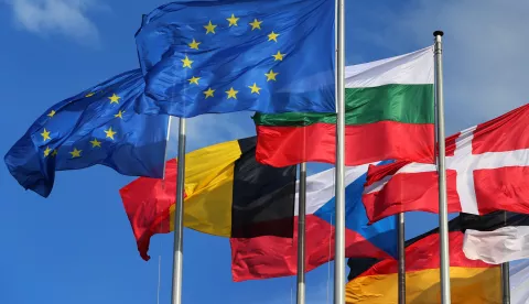 The national flags of the European Union member states sway in the wind attached to flag poles in front of the European parliament building in Strasbourg, France, 12 April 2016. Photo: Karl-Josef Hildenbrand/dpa/DPA/PIXSELL