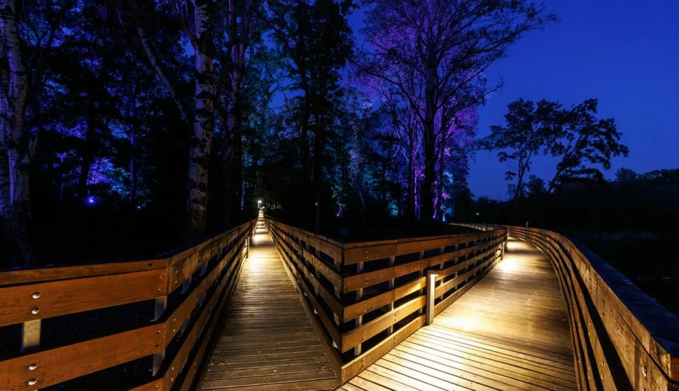 Drvena šetnica u vukovarskoj park-šumi Adica u noćnim satima