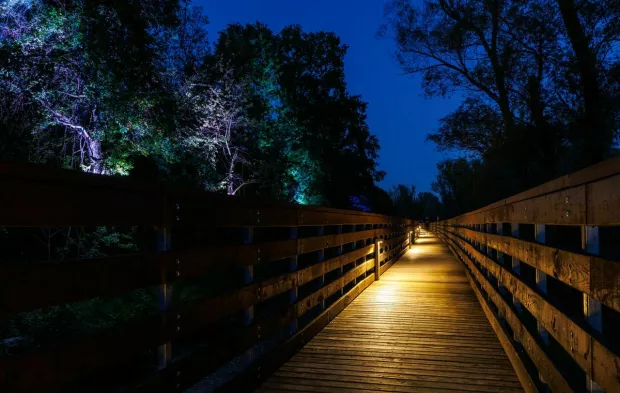 Drvena &scaron;etnica u vukovarskoj park-&scaron;umi Adica u noćnim satima