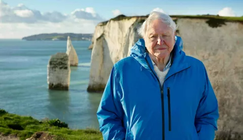 Ocean With David Attenborough