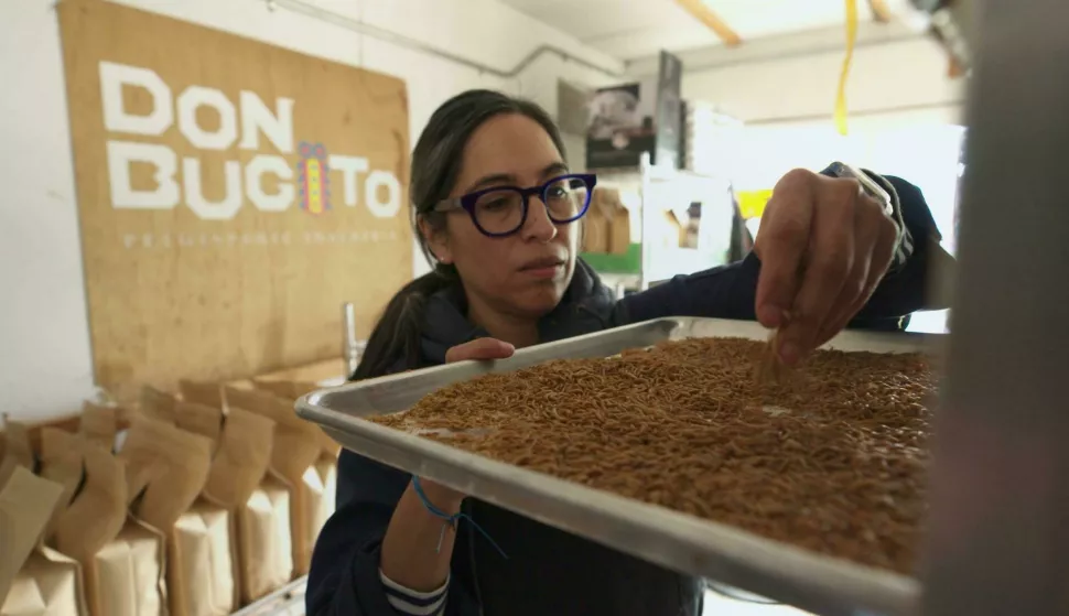 dokumentarac nova zemlja