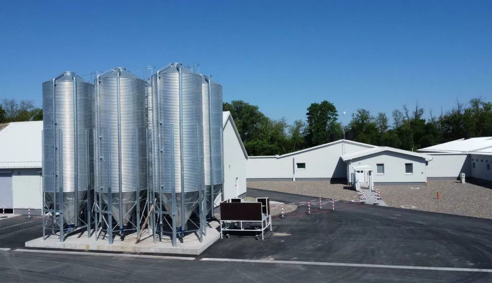 Klisa, farma svinja, Žito Grupa