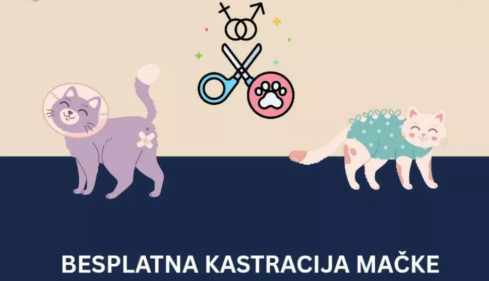 Grad Osijek prepoznaje važnost kastracije mačaka - nova Odluka gradonačelnika Ivana Radića donosi financijsku pomoć skrbnicima! Udruga 9 života izražava iskrenu zahvalnost gradonačelniku Ivanu Radiću na donesenoj odluci o financiranju troškova kastracije skrbničkih mačaka.
