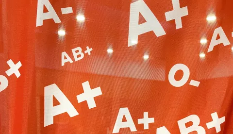 Osijek, 26. 11. 2022, TC Portanova, akcija darivanja krvi, Crveni kriz OsijekSNIMIO BRUNO JOBST