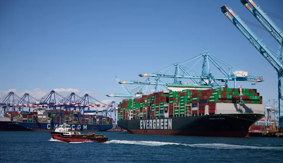 epa12006376 Ships unload cargo containers at the Port of Los Angeles in Los Angeles, California, USA, 02 April 2025. US President Donald Trump announced new tariffs on all US trading partners as Trump declared a national economic emergency to levy the tariffs. Trump stated that 'Taxpayers have been ripped off for more than 50 years, but it is not going to happen anymore.' EPA/ALLISON DINNER