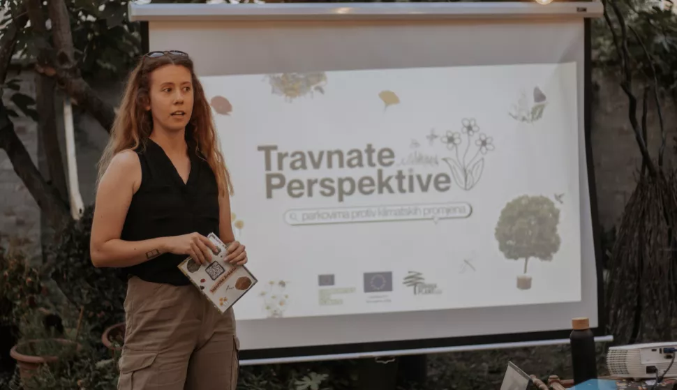 Travnate perspektive