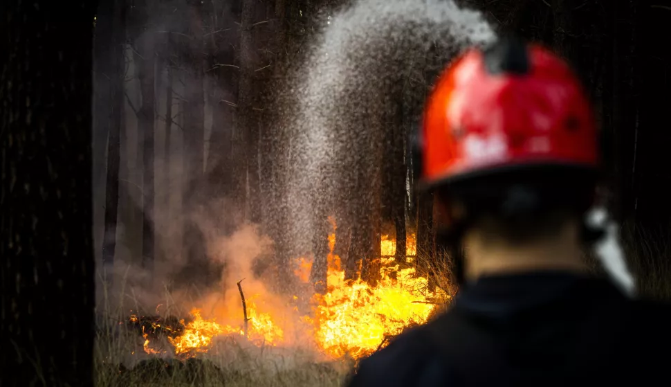 epa12027781 A member of the emergency services works to put out a forest near the Kanaalweg in Drunen, The Netherlands, 12 April 2025. EPA/ROB ENGELAAR