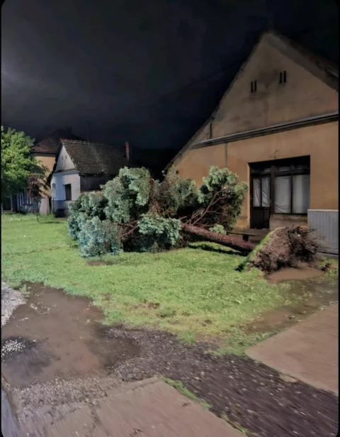 Olujno nevrijeme praćeno jakom kišom,sinoć oko 22 sata zahvatilo je Vinkovce i okolicu i trajalo je oko sat vremena, ali, prema dostupnim informacijama, nije bilo velike štete osim što su mnogi podrumi, posebice u četvrti Kanovci, bili poplavljeni pa su vatrogasci imali, doslovce, pune ruke posla. Vinkovčanin iz Kanovaca kaže kako mu je u podrumu nadirala voda pa je pozvao vatrogasce da ispumpaju vodu, ali je dobio odgovor neka bude strpljiv jer imaju već 100-tinjak poziva i ne stignu pravovremeno odgovoriti na sve pozive. 