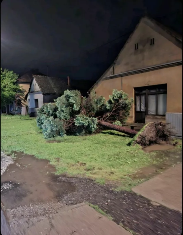 Olujno nevrijeme praćeno jakom ki&scaron;om,sinoć oko 22 sata zahvatilo je Vinkovce i okolicu i trajalo je oko sat vremena, ali, prema dostupnim informacijama, nije bilo velike &scaron;tete osim &scaron;to su mnogi podrumi, posebice u četvrti Kanovci, bili poplavljeni pa su vatrogasci imali, doslovce, pune ruke posla. Vinkovčanin iz Kanovaca kaže kako mu je u podrumu nadirala voda pa je pozvao vatrogasce da ispumpaju vodu, ali je dobio odgovor neka bude strpljiv jer imaju već 100-tinjak poziva i ne stignu pravovremeno odgovoriti na sve pozive. 