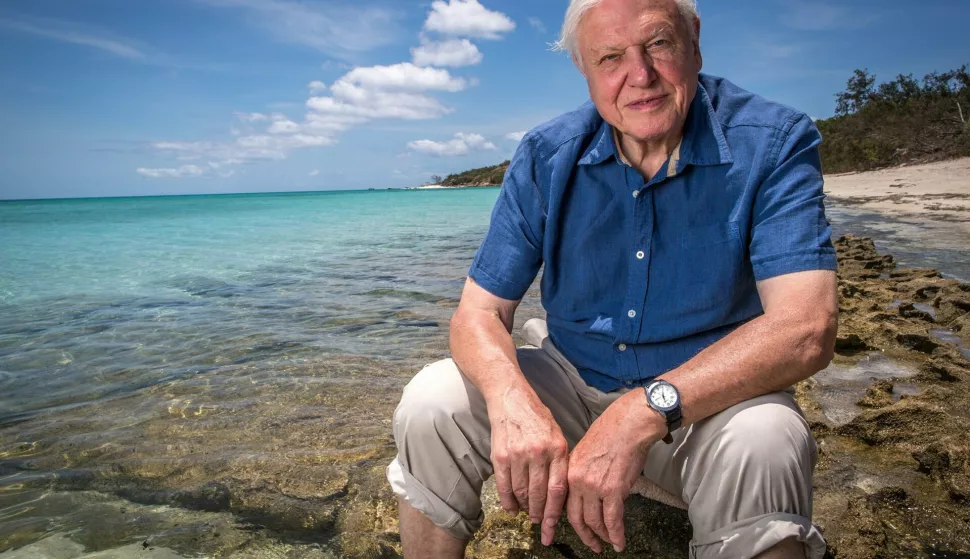 epa05247310 An undated handout picture made available by the Australian Broadcasting Corporation (ABC) on 07 April 2016 shows nature documentary maker Sir David Attenborough on the Great Barrier Reef, Queensland, Australia, during works for his upcoming three-part series on the famous coral reef on ABC TV. Attenborough blamed 'the twin perils brought by climate change, an increase in the temperature of the ocean and in its acidity' for threatening the reef's existence. EPA/AUSTRALIAN BROADCASTING CORPORATION/ABC/HANDOUT AUSTRALIA AND NEW ZEALAND OUT HANDOUT EDITORIAL USE ONLY/NO SALES