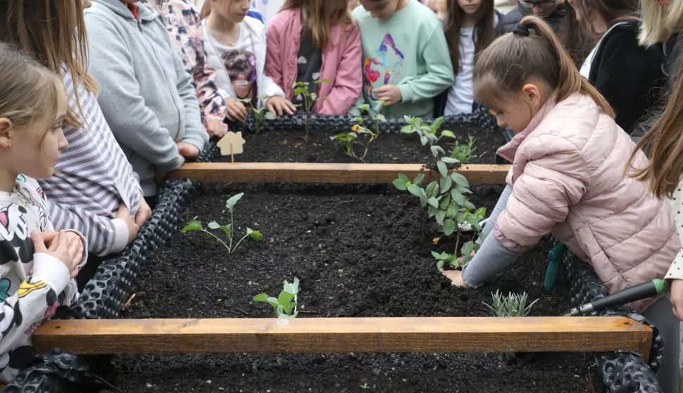 Osijek, 06. 05. 2025., O&Scaron; Retfala, &scaron;kolski vrt, otvorenje, priredba, povi&scaron;ene sadnice, učenici, sadniceSNIMIO BRUNO JOBST