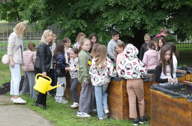 Osijek, 06. 05. 2025., O&Scaron; Retfala, &scaron;kolski vrt, otvorenje, priredba, povi&scaron;ene sadnice, učenici, sadniceSNIMIO BRUNO JOBST