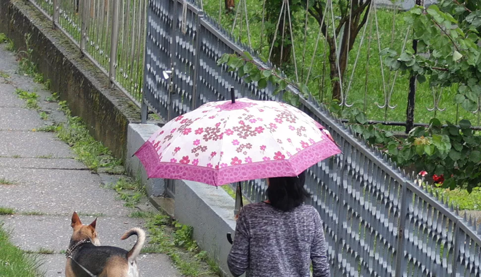 Osijek, 11. 06. 2024, kisa, kisobran,slobodnjak, slobodnjaciSNIMIO BRUNO JOBST