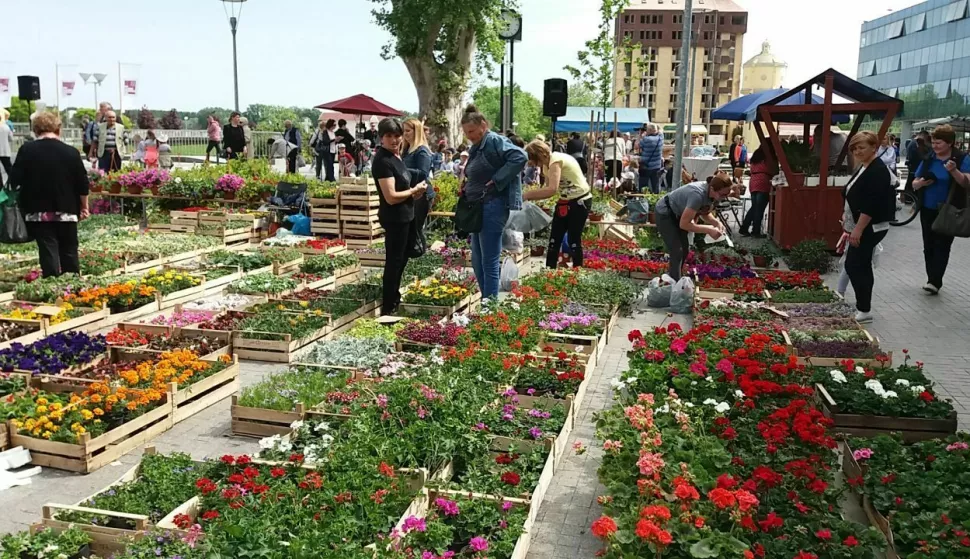 Festival cvijeća u Vukovaru; arhivska fotografija