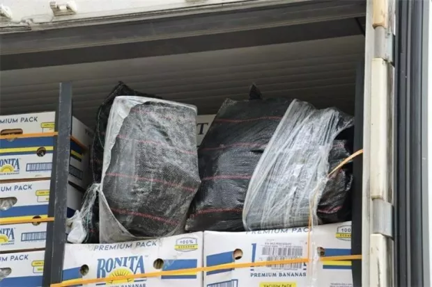 Zaplijenjeno 85 kilograma kokaina u luci Rijeka