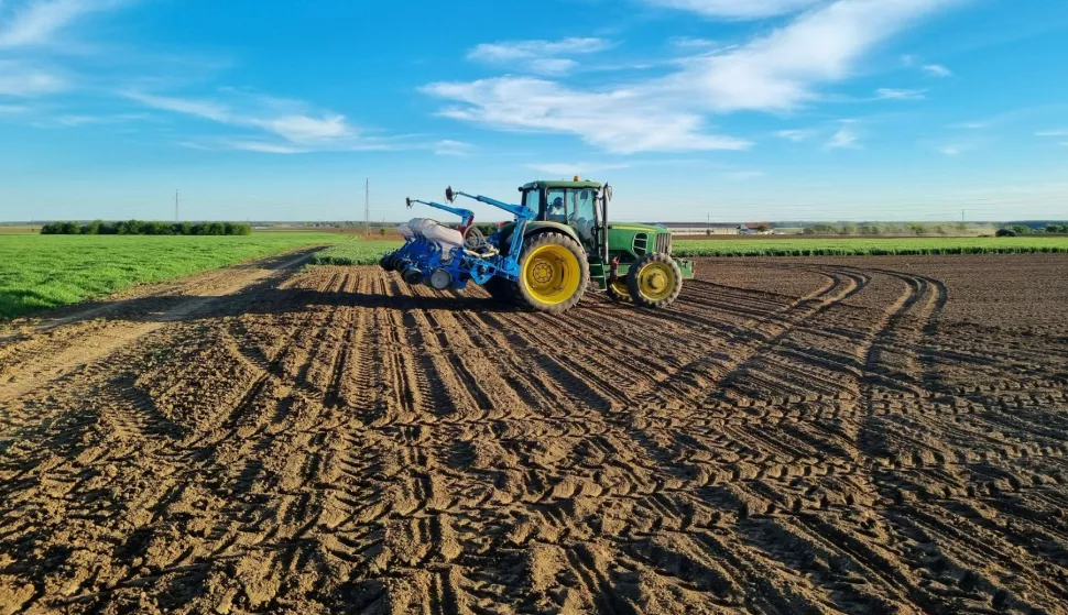 BARANJA - SJETVA KUKURUZA, TRAVANJ 2024.POLJE, NJIVA, ZEMLJA, ORANICA