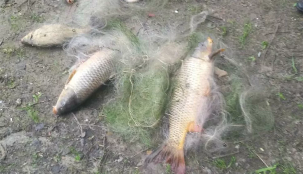 Ilegalno lovili ribu u Kopačkom ritu