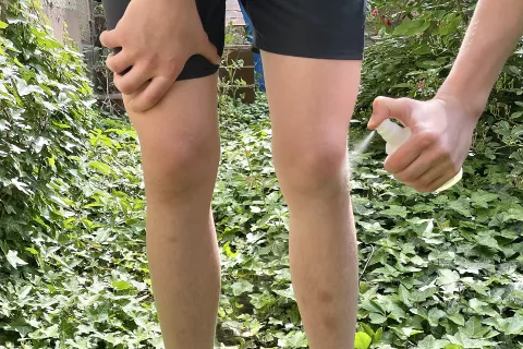 Osijek, 23. 05. 2023, ilustracije, komarci, SNIMIO BRUNO JOBST