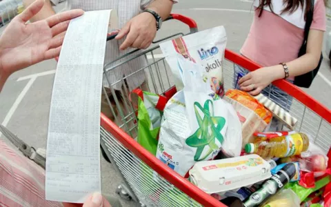 03.06.2008., Zagreb - Potrosacka kosarica.Photo: Zeljko Lukunic/PIXSELL------4 st color ekonomija