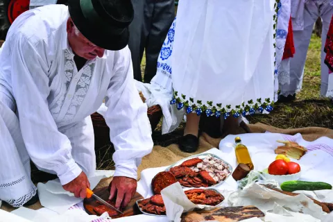 slavonija...zupanja...07.07.2018.krug tvornice same deutz-fahr zetelice d.o.o.; odrzana 16. manifestacija "kruh naš svagdasnji – zetva i vršidba u proslosti"; foto Gordan Panić
