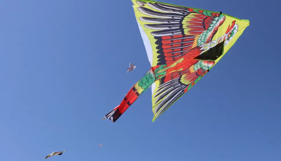 Osijek, 09.06.2019. - Spotski aerodrom Čepin - ZMAJADA - natjecanje u visini leta zmaja, natjecanje u kreativnosti, natjecanje s klizačima...Foto: Željko Šepić