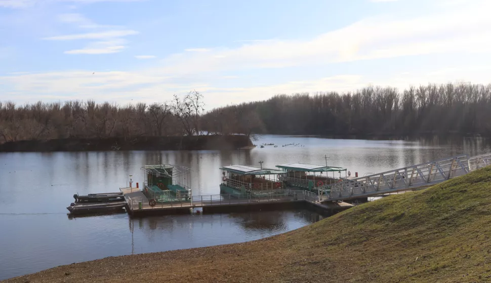 Kopačevo, 31. 01. 2025, Koopački rit, Međunarodni dan vlažnih staništa, obileženo u Kopačkom ritu.snimio GOJKO MIITĆ