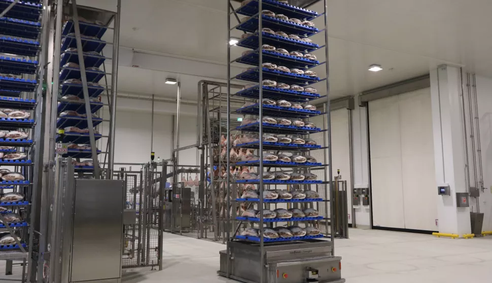 Čepin, 06. 05. 2'025, Prezentacija i Uprave Žito Grupe i obilazak. Pršutana.snimio GOJKO MITIĆ