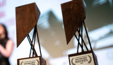 Suversive festival 2025