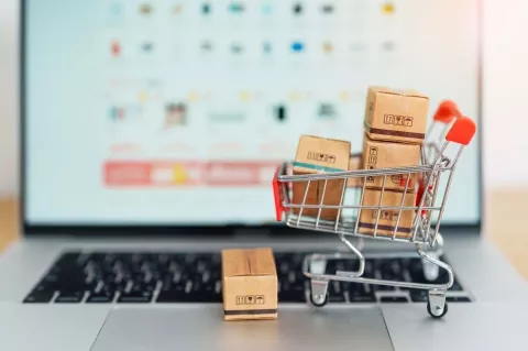 Kineski sajtoviDunjina kolumna